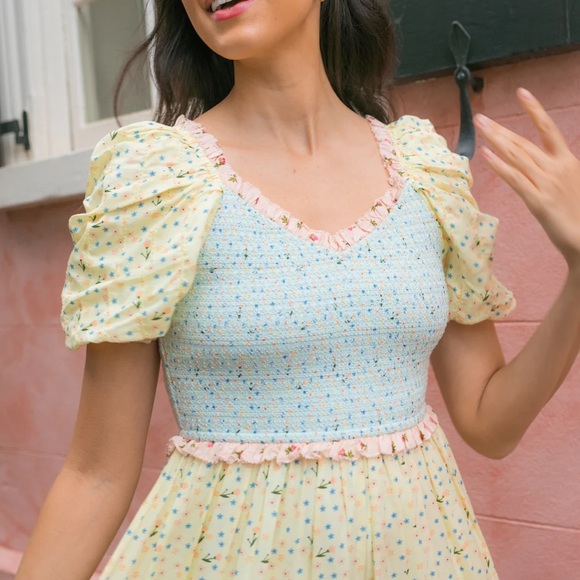 Ivy City Co Dresses & Skirts - Ivy city Emily dress XS - NWT